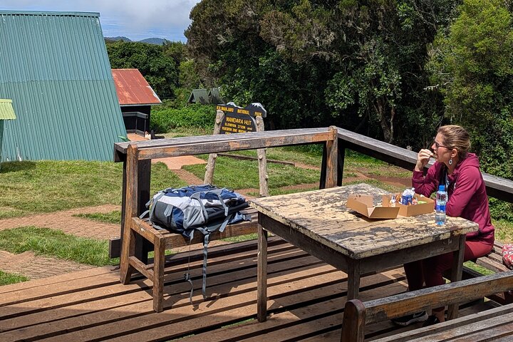 Kilimanjaro one day hike experience by KILITA SAFARIS