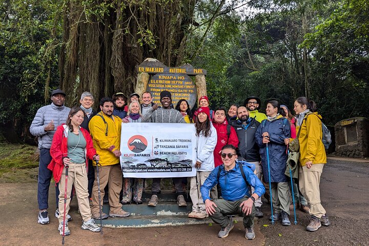 Kilimanjaro one day hike experience by KILITA SAFARIS