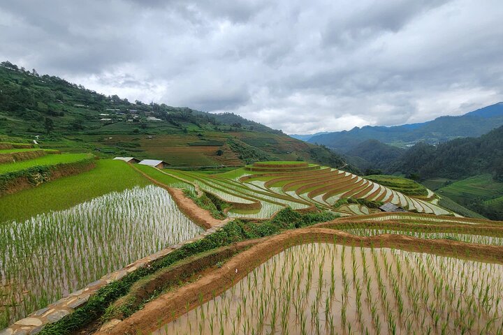 Mu Cang Chai Full Day Trekking Tour