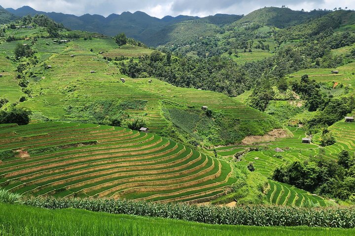 2 Days Motorbike Tour from Mu Cang Chai to Sapa