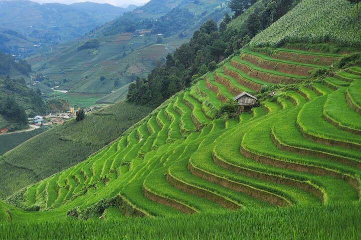 Mu Cang Chai Full Day Trekking Tour