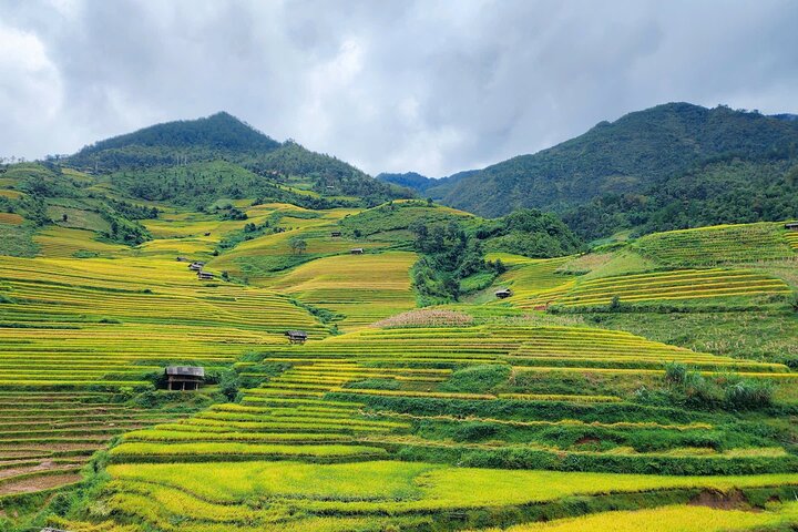 Mu Cang Chai Full Day Trekking Tour