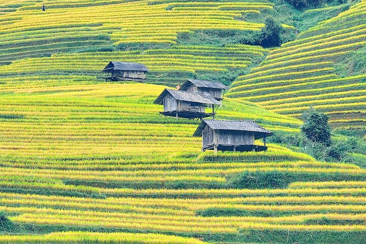 Mu Cang Chai Full Day Trekking Tour