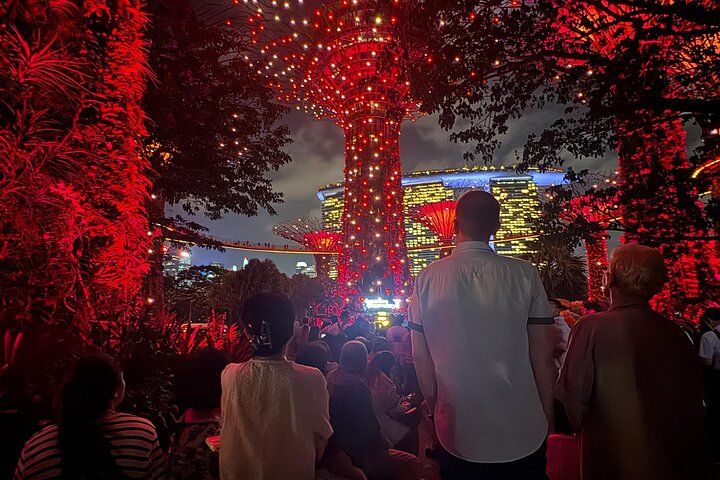 Singapore River Cruise, Night Garden Rhapsody & Spectra by CYT
