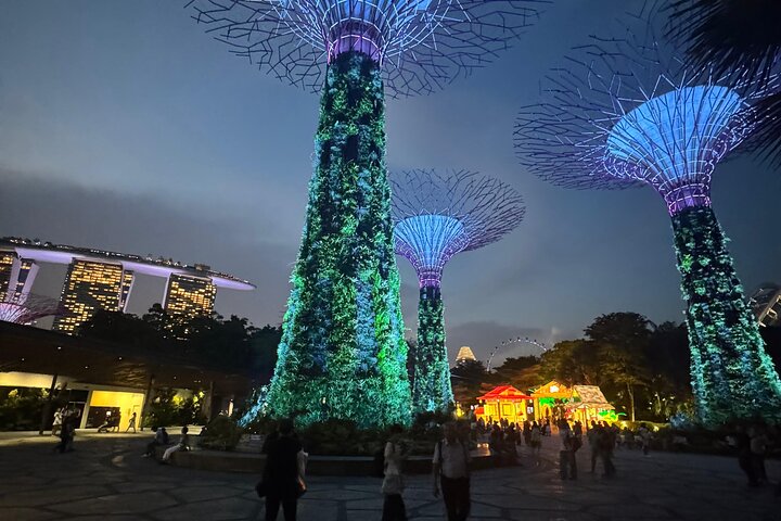 Singapore River Cruise, Night Garden Rhapsody & Spectra by CYT
