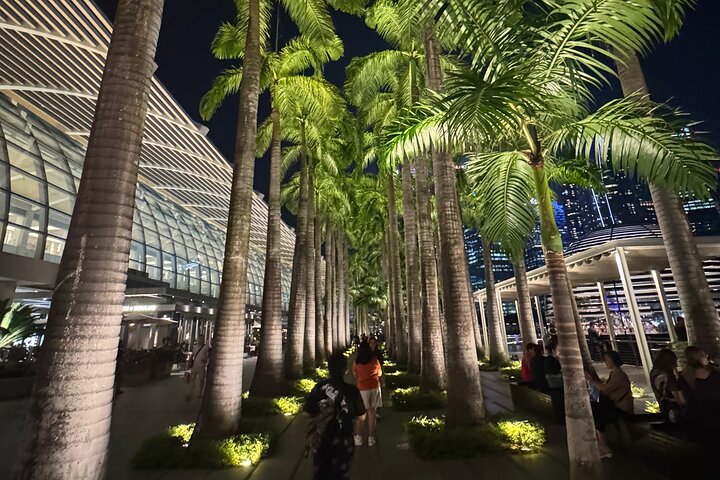 Singapore River Cruise, Night Garden Rhapsody & Spectra by CYT