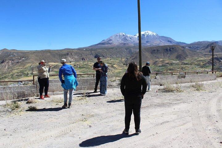 Chungará Lake & Lauca Park Tour from Arica with Lunch