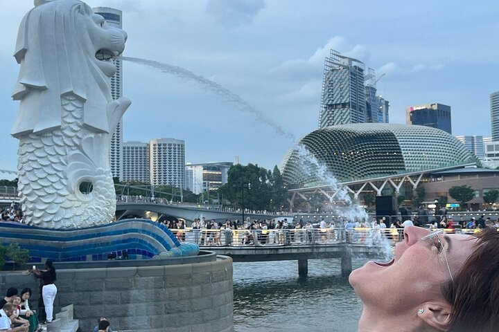 Singapore River Cruise and 2 Must-see Water Light Shows