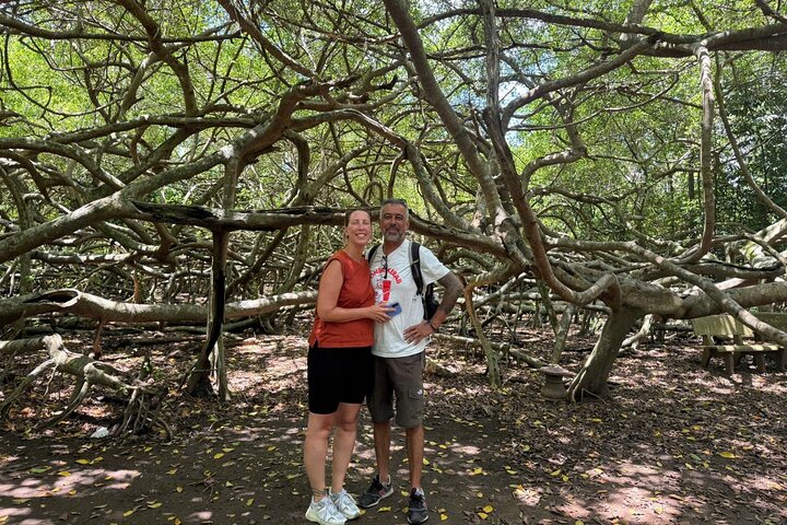 Can Tho: Lung Ngoc Hoang Nature Reserve & Hidden Forests