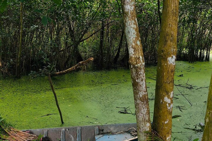 Can Tho: Lung Ngoc Hoang Nature Reserve & Hidden Forests