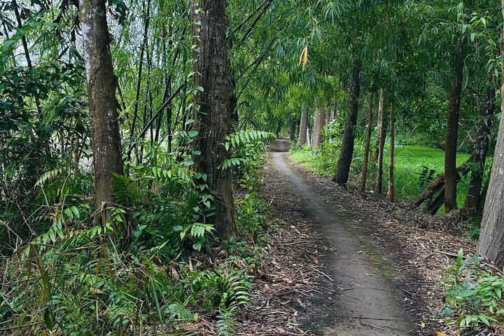 Can Tho: Lung Ngoc Hoang Nature Reserve & Hidden Forests