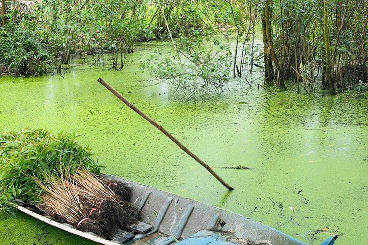 Can Tho: Lung Ngoc Hoang Nature Reserve & Hidden Forests