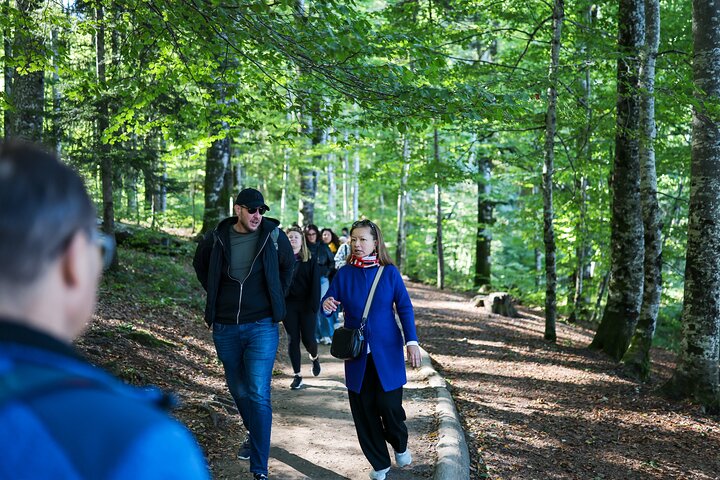 From Zadar: Plitvice Lakes Guided Day Tour with Tickets