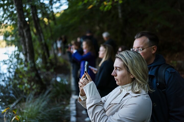 From Zadar: Plitvice Lakes Guided Day Tour with Tickets