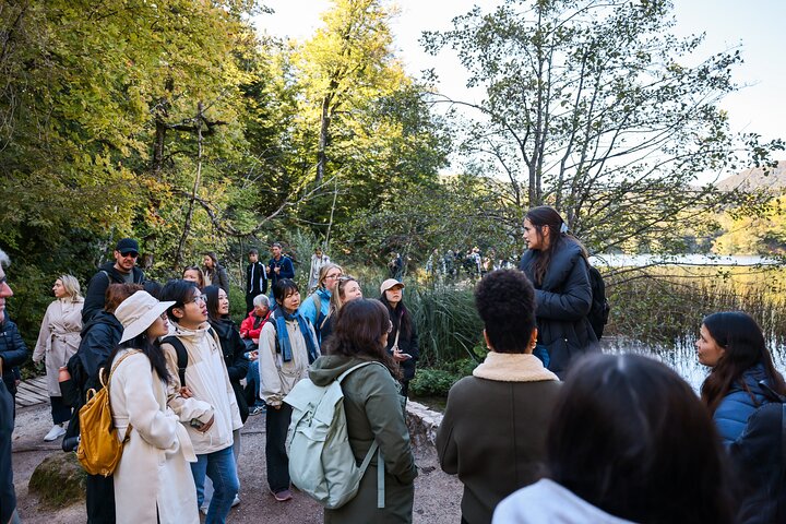 From Zadar: Plitvice Lakes Guided Day Tour with Tickets