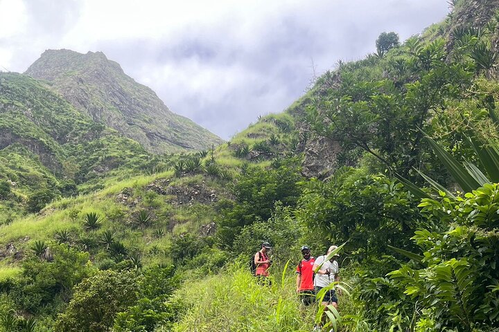 Ecological Walk from Serra Malagueta to Ribeira Principal