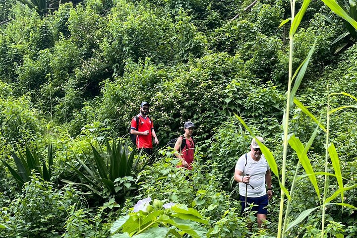 Ecological Walk from Serra Malagueta to Ribeira Principal