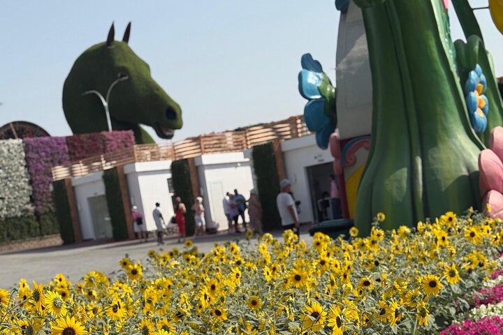 Miracle Garden Global Village with Transportation from Fujairah