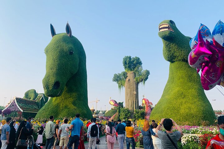 Miracle Garden Global Village with Transportation from Fujairah