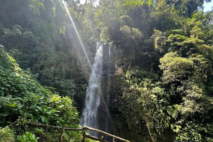 Chasing Waterfalls Adventure in Boquete