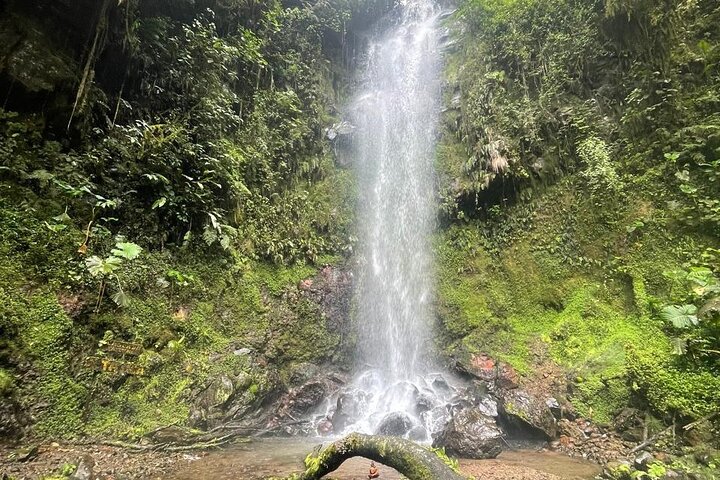 Chasing Waterfalls Adventure in Boquete