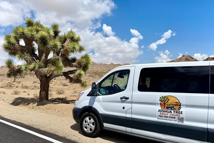 Joshua Tree National Park Scenic Tour