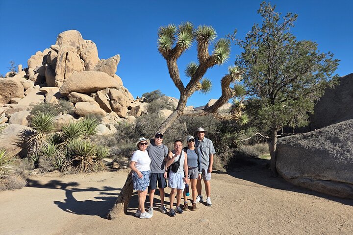Joshua Tree National Park Scenic Tour
