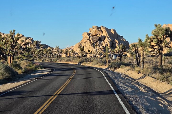 Joshua Tree National Park Scenic Tour