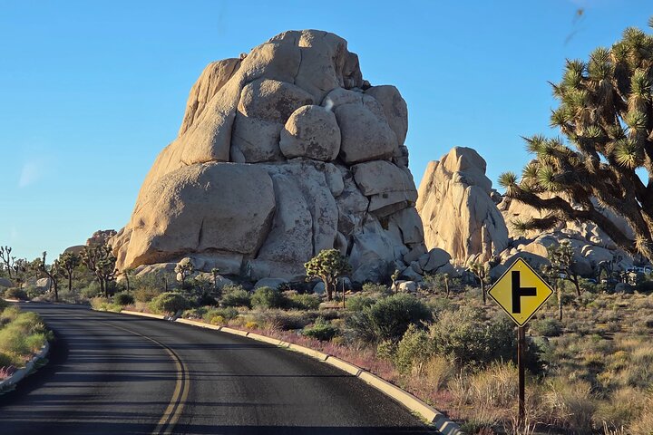 Joshua Tree National Park Scenic Tour