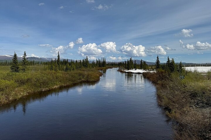 Arctic Circle Day Tour
