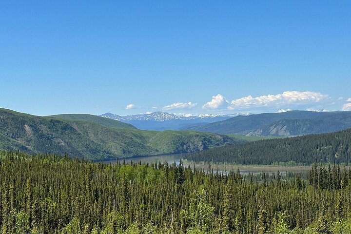 Arctic Circle Day Tour