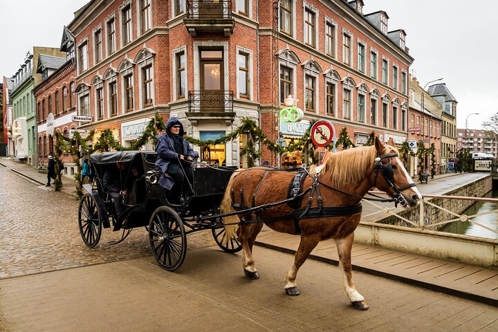 Aarhus Private Walking Tour Experience