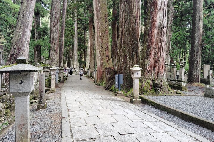 Koyasan: Sacred Silence of Okunoin at Dawn and After Dark