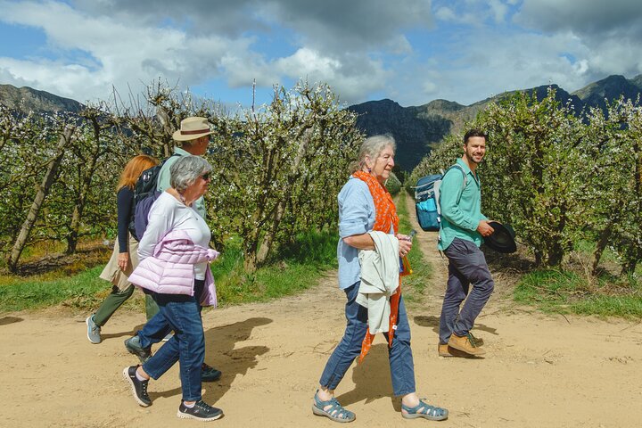 Franschhoek Wine Walk with Lunch
