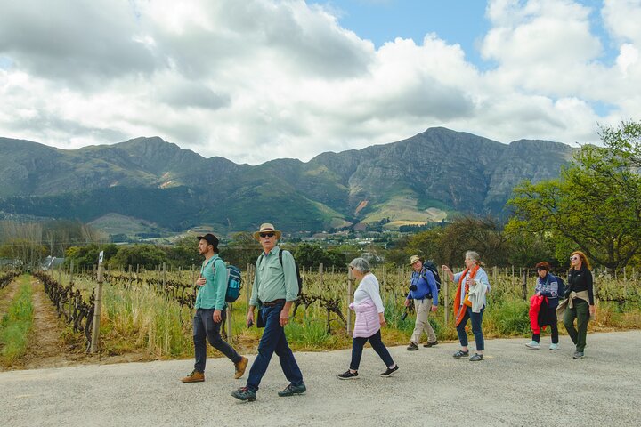 Franschhoek Wine Walk with Lunch