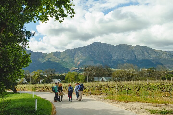 Franschhoek Wine Walk with Lunch