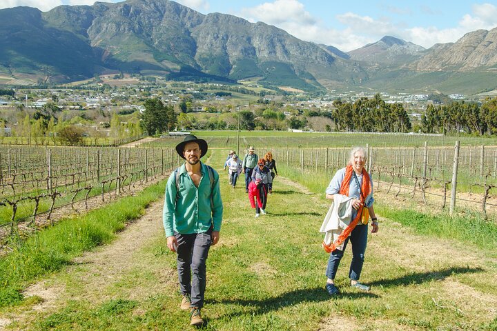Franschhoek Wine Walk with Lunch