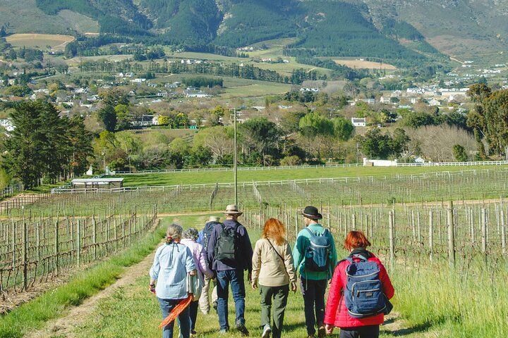 Franschhoek Wine Walk with Lunch