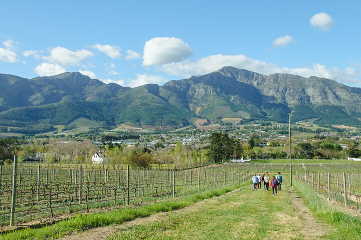 Franschhoek Wine Walk with Lunch