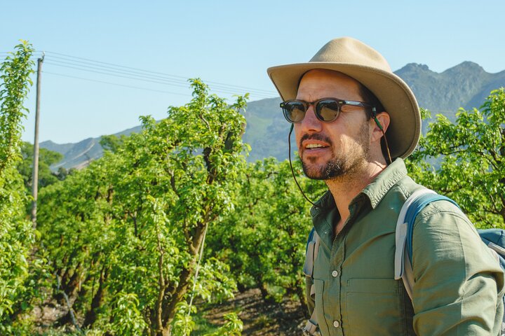 Franschhoek Wine Walk with Lunch