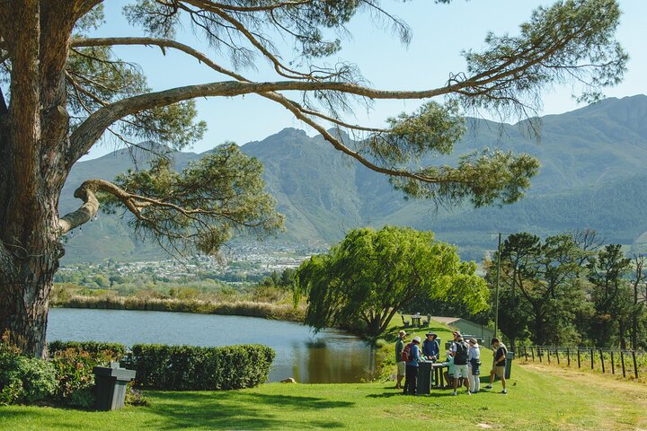 Franschhoek Wine Walk with Lunch
