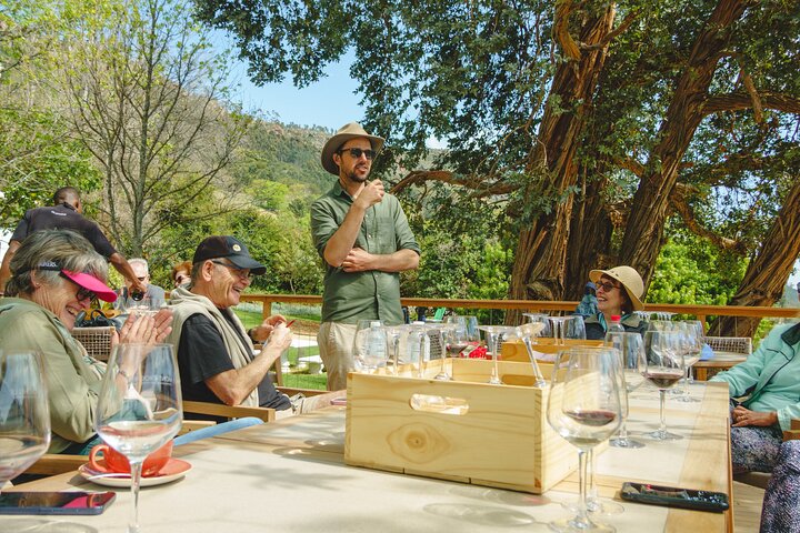 Franschhoek Wine Walk with Lunch
