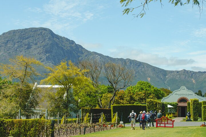 Franschhoek Wine Walk with Lunch