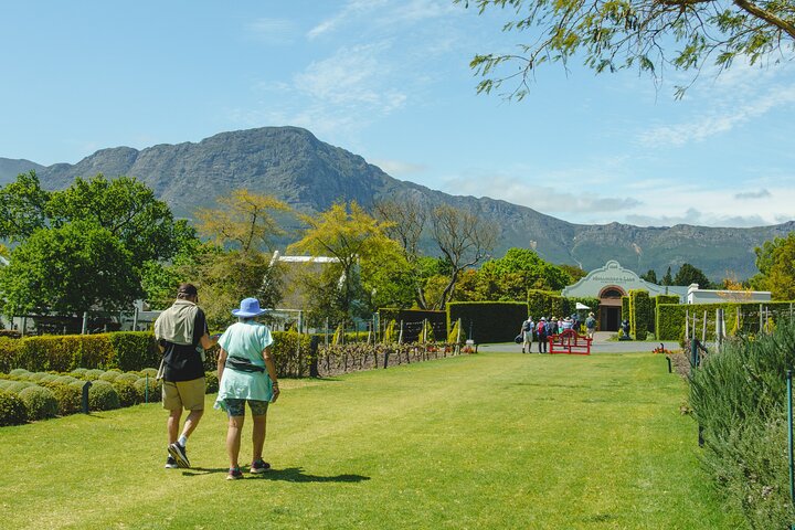 Franschhoek Wine Walk with Lunch