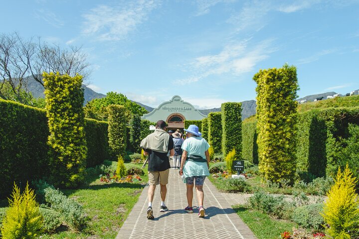 Franschhoek Wine Walk with Lunch