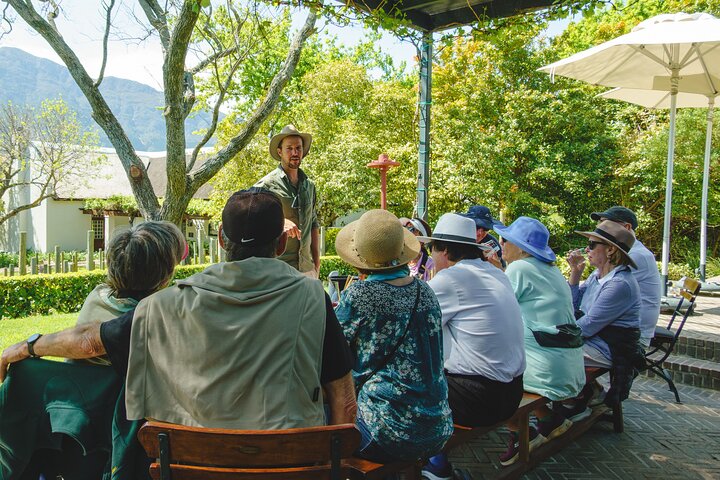 Franschhoek Wine Walk with Lunch