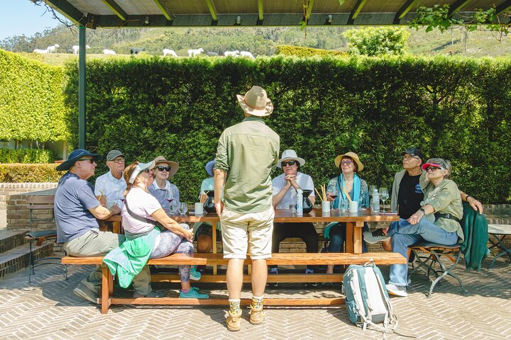 Franschhoek Wine Walk with Lunch