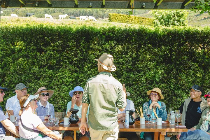 Franschhoek Wine Walk with Lunch