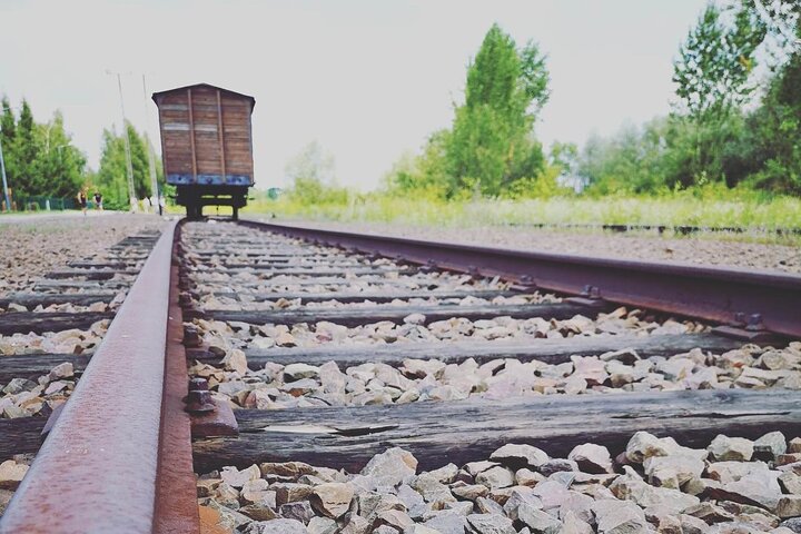 Day Trip: Auschwitz-Birkenau and Wieliczka Salt Mine from Krakow