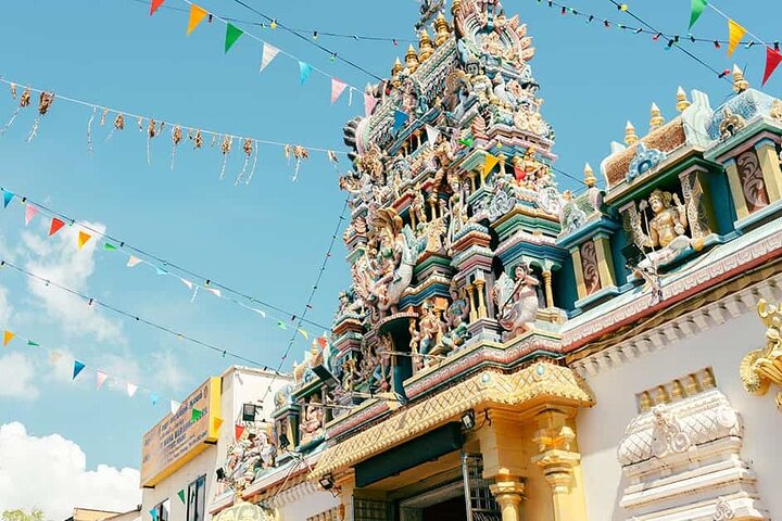 Penang Half-day City Tour with Trishaw Ride & Upside Down Museum